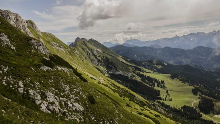 How To Verify Your 99 Exchange Account Number?